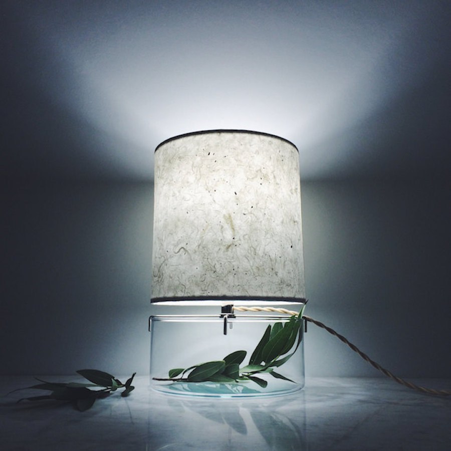 Inventive-Terrarium-Inserted-in-a-Glass-Lamp2