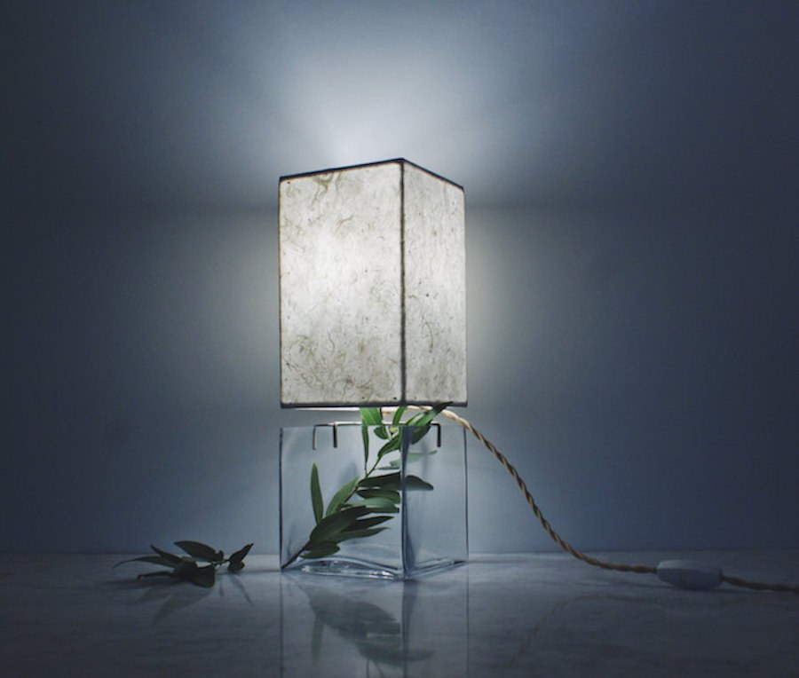 Inventive-Terrarium-Inserted-in-a-Glass-Lamp3