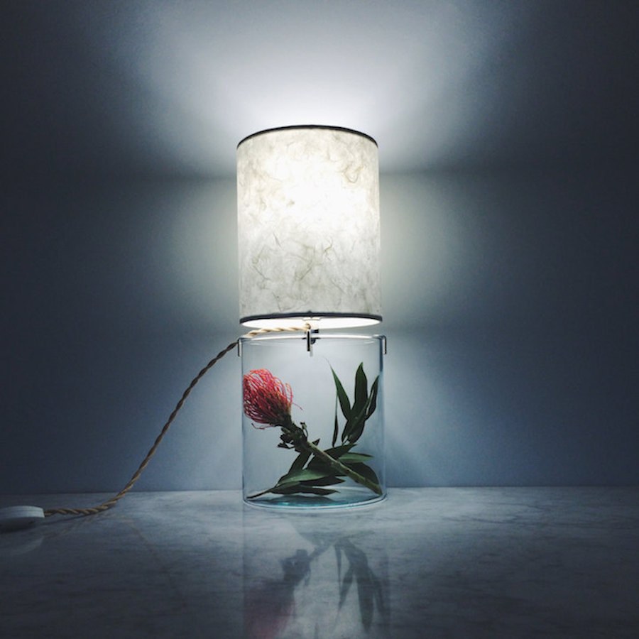 Inventive-Terrarium-Inserted-in-a-Glass-Lamp4