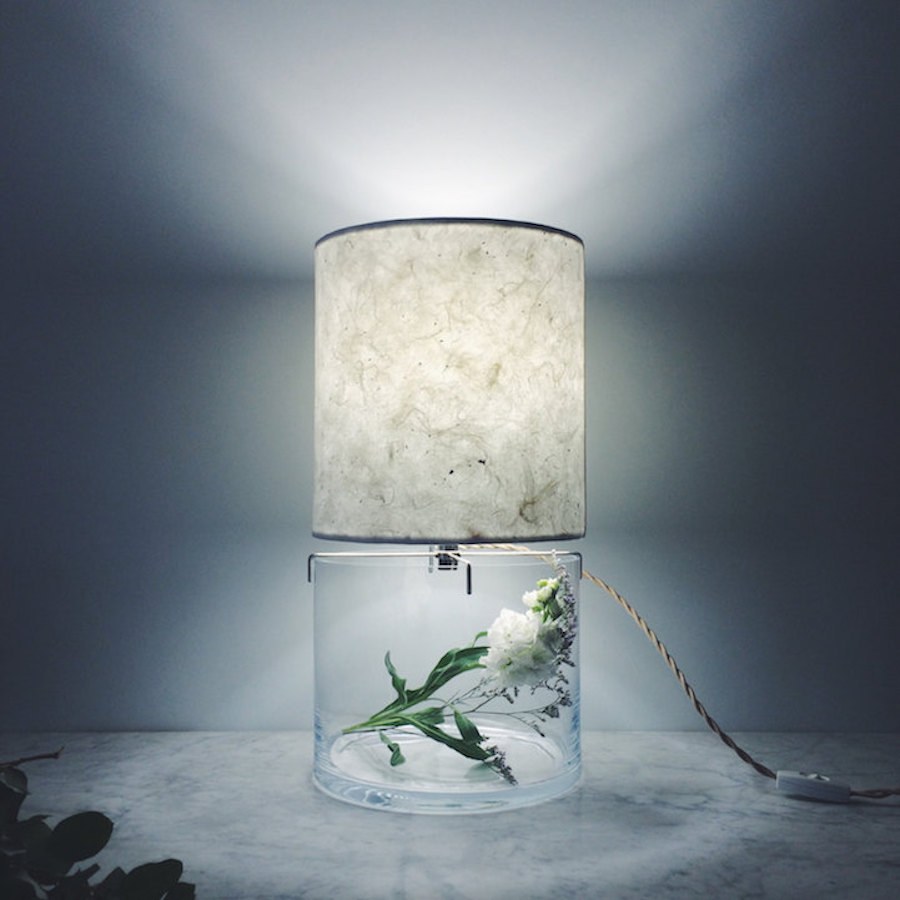 Inventive-Terrarium-Inserted-in-a-Glass-Lamp5