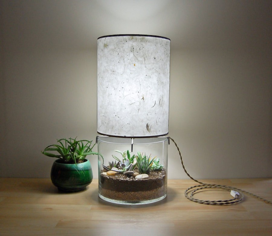 Inventive-Terrarium-Inserted-in-a-Glass-Lamp6