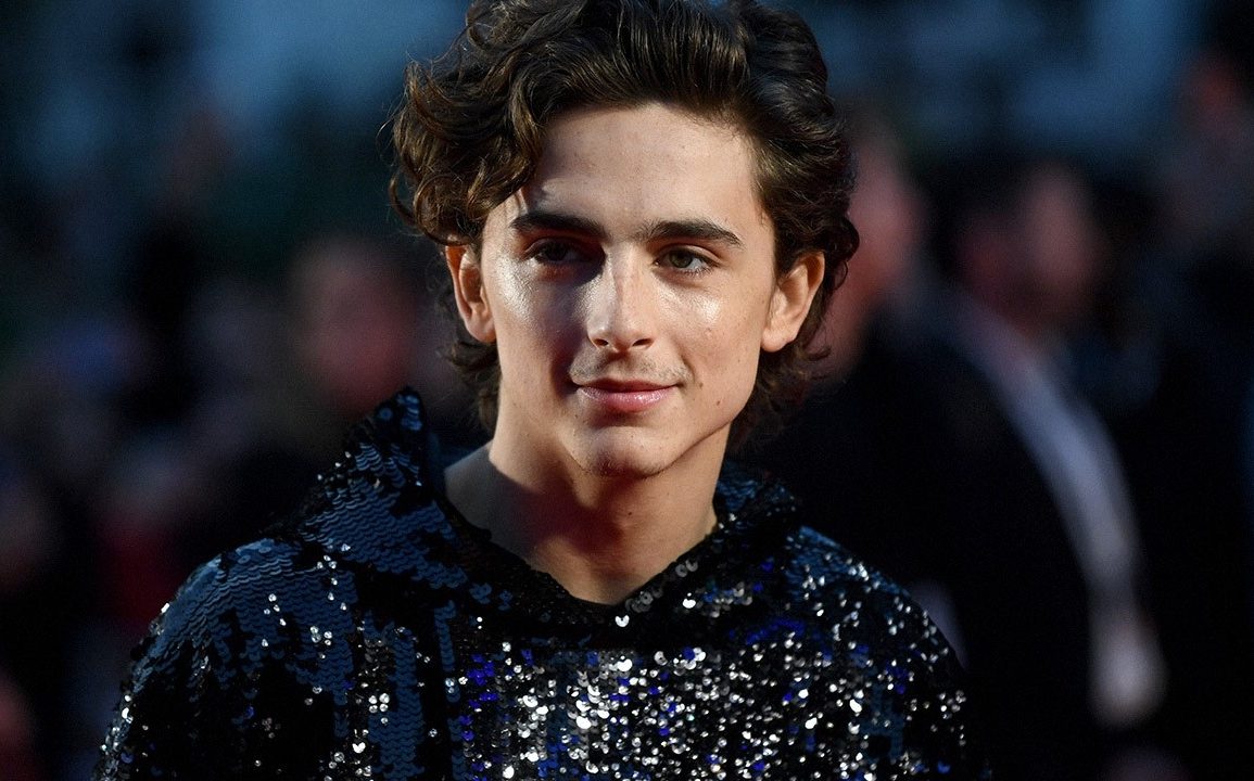 83389 6 fits that prove timothee chalamet is the perfect met gala co host