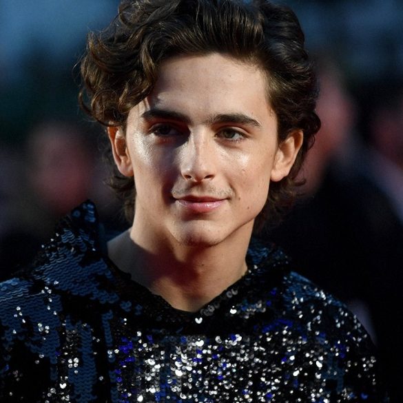 83389 6 fits that prove timothee chalamet is the perfect met gala co host