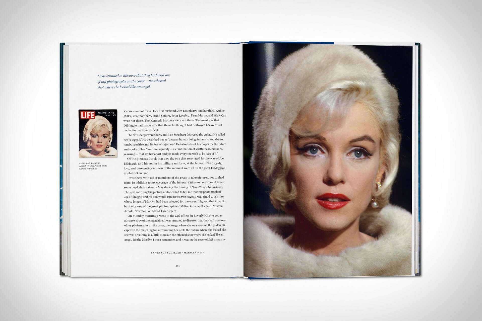 marilyn and me book 6