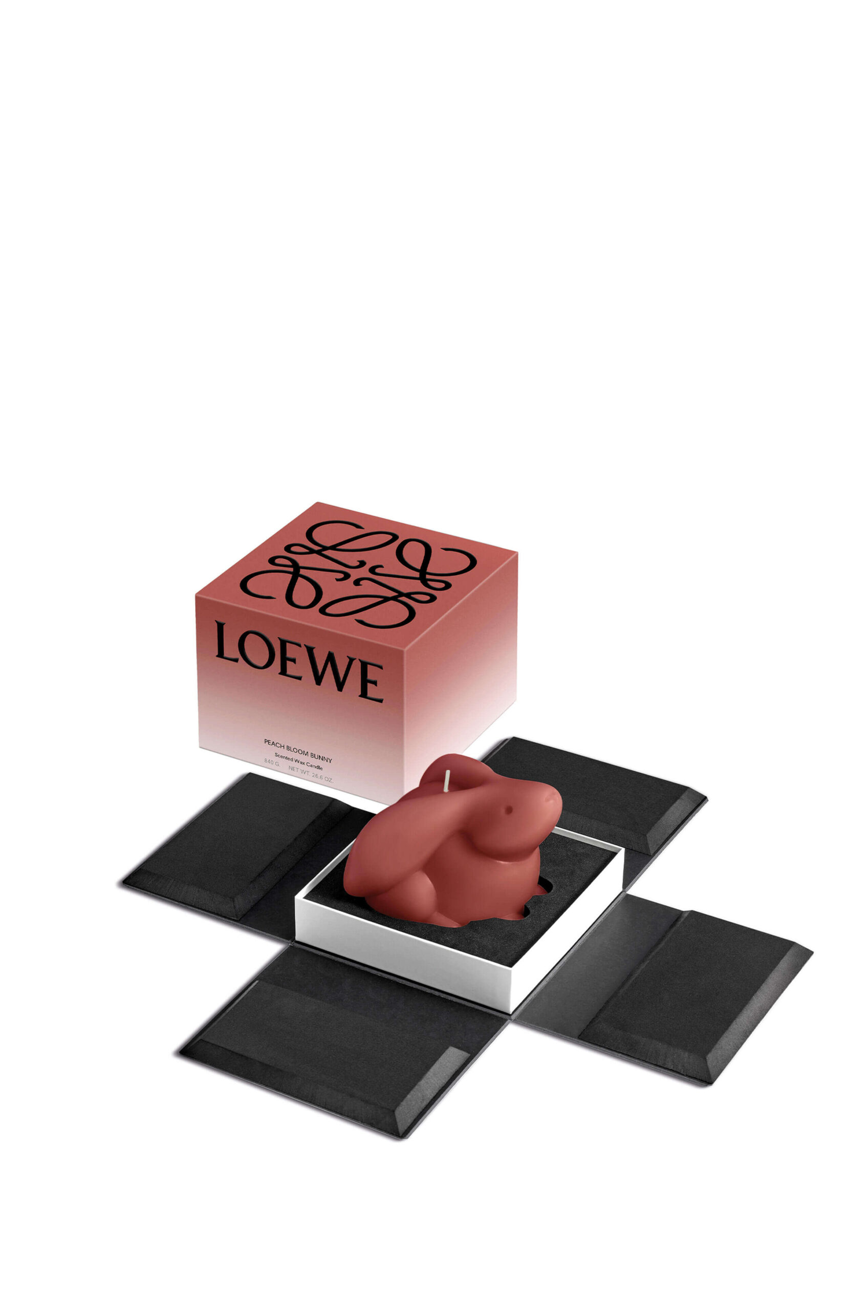 LOEWE Year of the Rabbit Collection