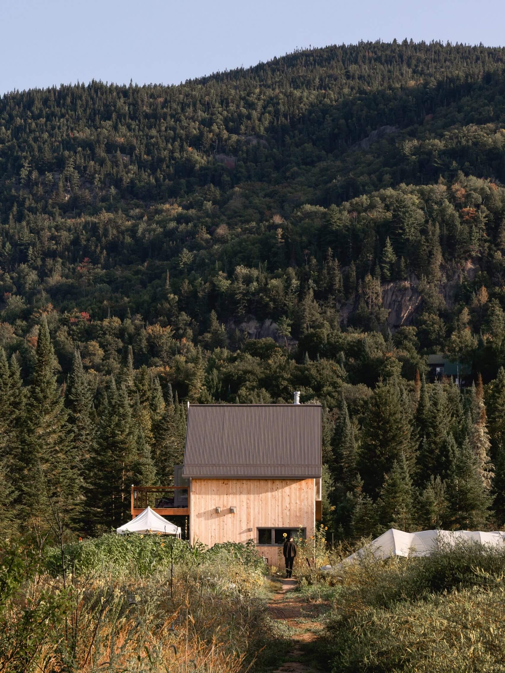 farouche tremblant atelier labri cabin canada