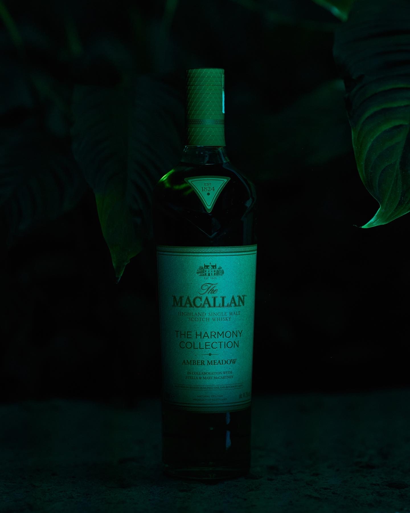 The Macallan